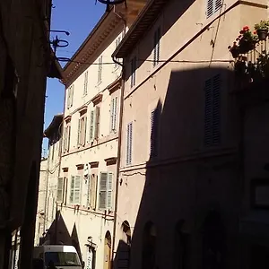 Gaia Assisi